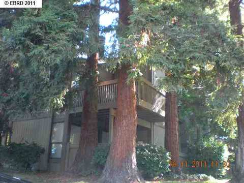 1544 Bailey Rd #34, Concord, CA 94521 photo 1