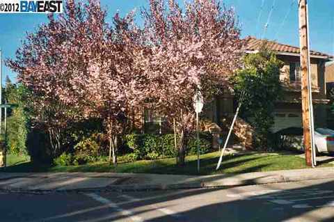 2245 Occidental Rd, Hayward, CA 94545 photo 1