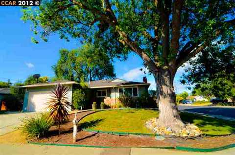 921 Honora Ave, Concord, CA 94518 photo 1