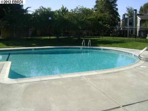 403 Olympus #4, Hercules, CA 94547 photo 1