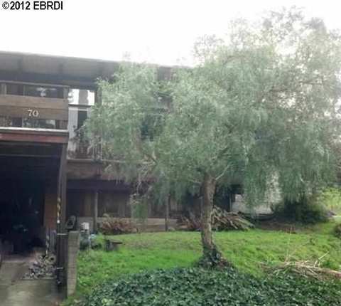 70 Avenida Dr, Berkeley, CA 94708 photo 1