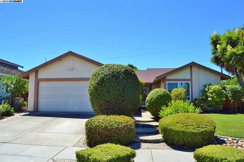 4925 Seneca Park Loop, Fremont, CA 94538 photo 1