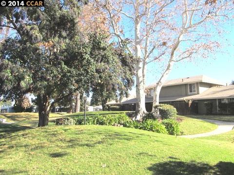 2083 Olivera Rd #B, Concord, CA 94520 photo 1