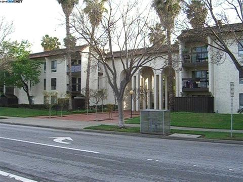 39975 Cedar Blvd #131, Newark, CA 94560 photo 1