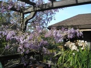 1404 Campus Dr, Berkeley, CA 94708 photo 1