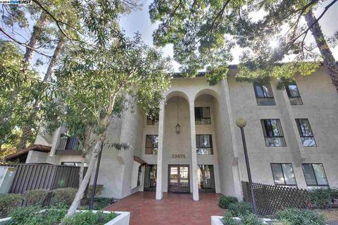 39975 Cedar Blvd #229, Newark, CA 94560 photo 1