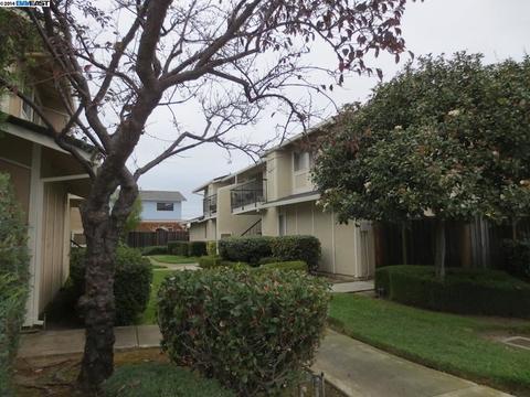 14585 Doolittle Dr, San Leandro, CA 94577 photo 1