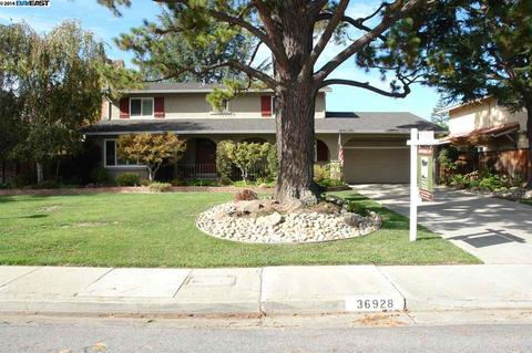 36928 Montecito Dr, Fremont, CA 94536 photo 1