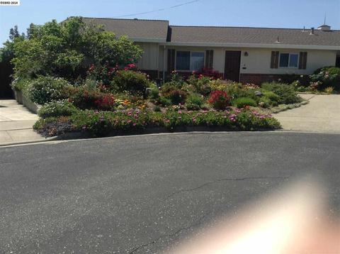 3109 Windsor Dr, Antioch, CA 94509 photo 1