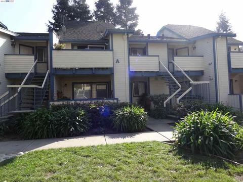 212 Sequim Cmn, Fremont, CA 94539 photo 1