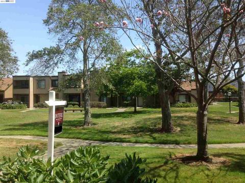 1162 Windward Ln, Alameda, CA 94502 photo 1