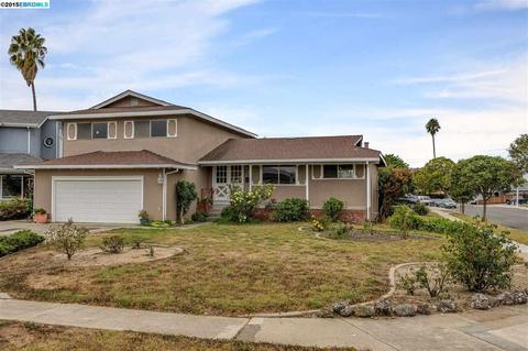 37871 Lobelia Dr, Newark, CA 94560 photo 1