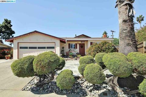 5397 Coco Palm Dr, Fremont, CA 94538 photo 1