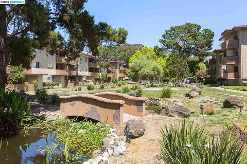 1311 Webster St #E318, Alameda, CA 94501 photo 1