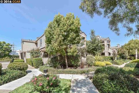25505 Compton #101, Hayward, CA 94544 photo 1