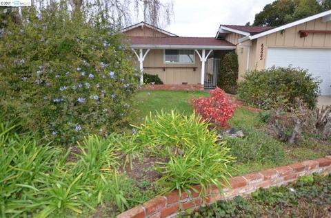 4923 Hyde Park Dr, Fremont, CA 94538 photo 1