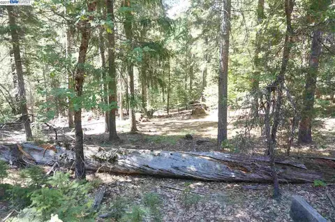 2350 Long Canyon Rd, Trinity Center, CA 96091 photo 1