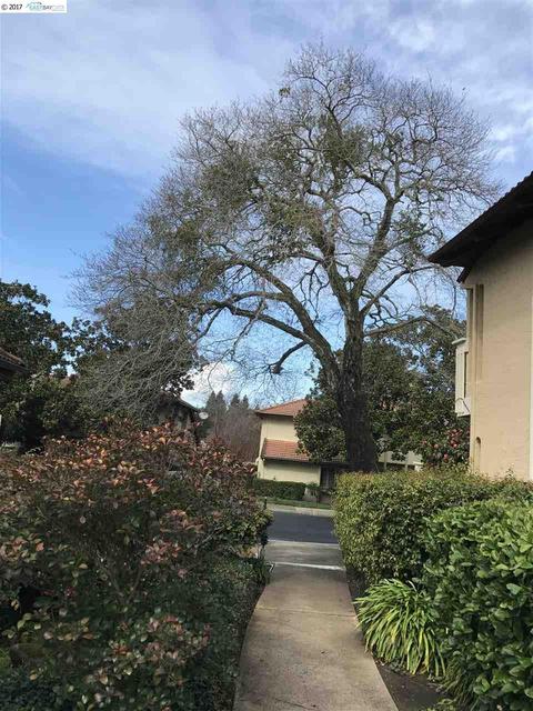 1392 Camino Peral, Moraga, CA 94556 photo 1