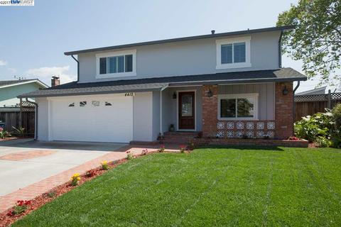 4412 Ogden Dr, Fremont, CA 94538 photo 1