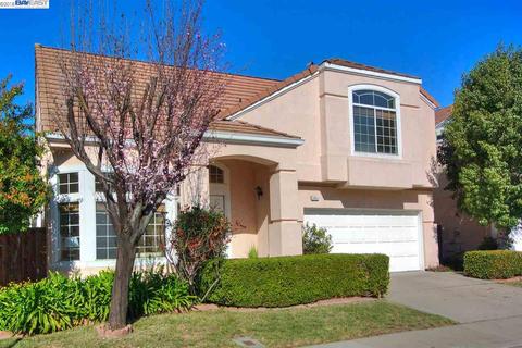 34341 Eucalyptus Ter, Fremont, CA 94555 photo 1