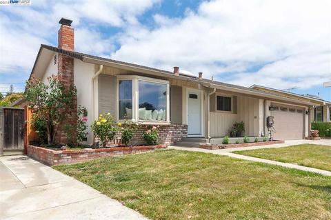 41546 Higgins Way, Fremont, CA 94539 photo 1