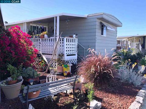 34 Cayuga, Oakley, CA 94561 photo 1
