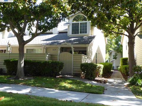 7421 Stonedale Dr, Pleasanton, CA 94588 photo 1