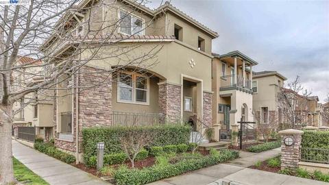 351 Wheat Grass Ter, Fremont, CA 94539 photo 1