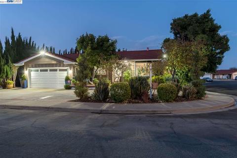 35860 Ellmann Pl, Fremont, CA 94536 photo 1