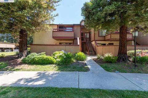 243 E Warren Cmn, Fremont, CA 94539 photo 1