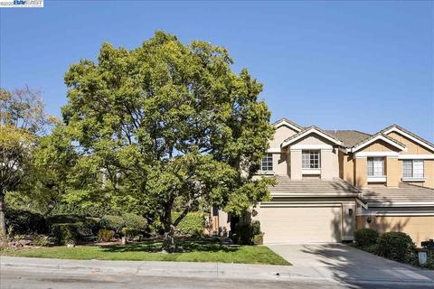 45100 Lynx Dr, Fremont, CA 94539 photo 1