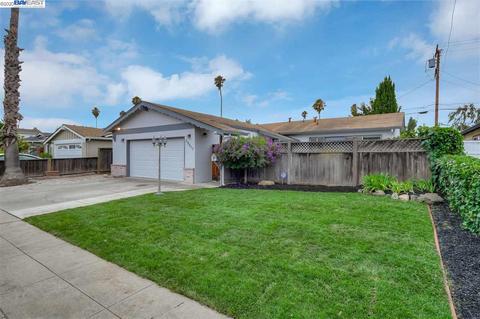 39617 Banyan Tree Rd, Fremont, CA 94538 photo 1