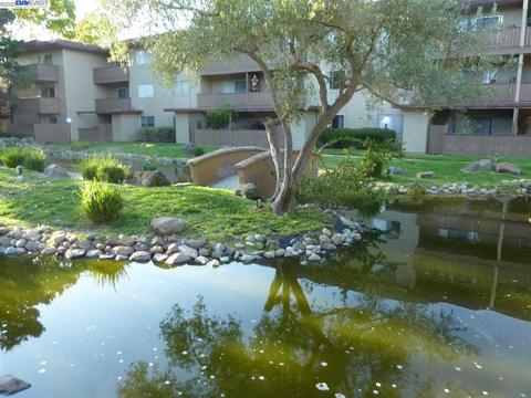 1311 Webster St #E110, Alameda, CA 94501 photo 1