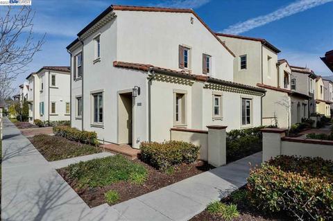 557 Ficus Ter, Fremont, CA 94539 photo 1
