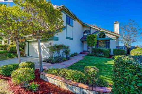 303 Hawk Ct, Fremont, CA 94539 photo 1