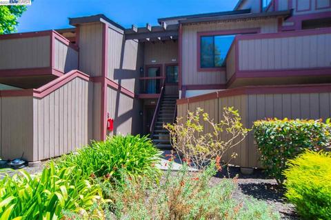242 Hackamore Cmn, Fremont, CA 94539 photo 1