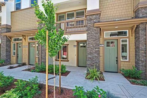 205 Carson Falls Ter, Fremont, CA 94539 photo 1