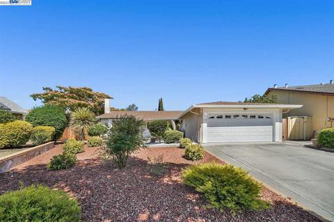 798 Towhee Ct, Fremont, CA 94539 photo 1