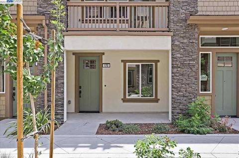175 Carson Falls Ter, Fremont, CA 94539 photo 1
