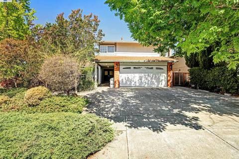 295 Mortimer Ave, Fremont, CA 94536 photo 1