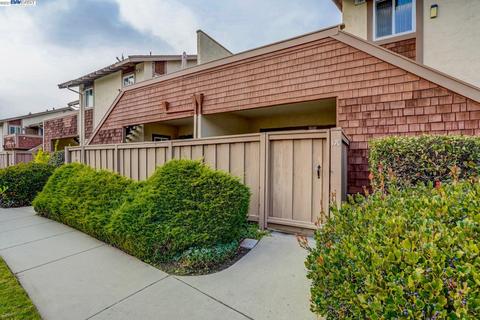 170 Hackamore Ln, Fremont, CA 94539 photo 1