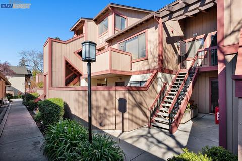234 Hackamore Cmn, Fremont, CA 94539 photo 1