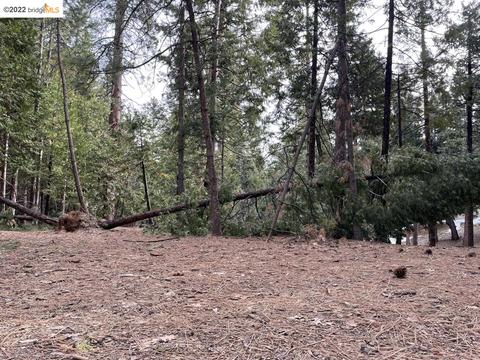2521 Monetier Dr, Arnold, CA 95223 photo 1