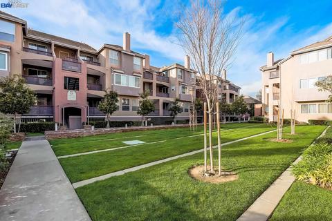 3695 Stevenson Blvd #E210, Fremont, CA 94538 photo 1