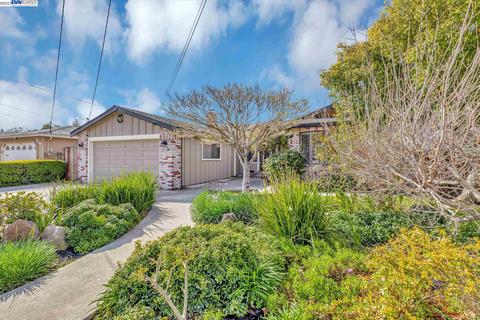 36341 Concord St, Newark, CA 94560 photo 1
