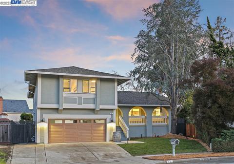 45 Queso Ct, Fremont, CA 94539 photo 1