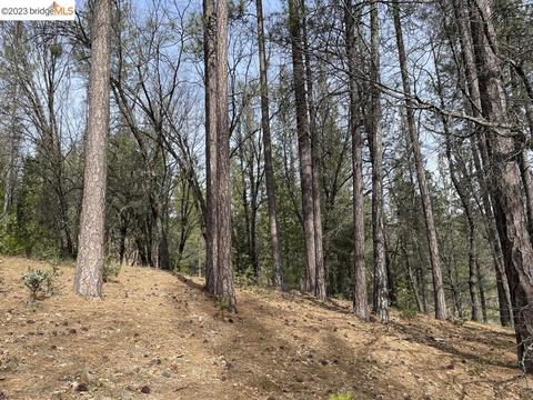 18573 Shake Ridge Rd, Sutter Creek, CA 95685 photo 1