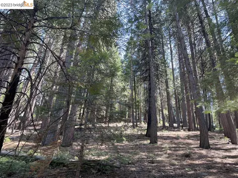 833 Summit View Rd, Arnold, CA 95223 photo 1