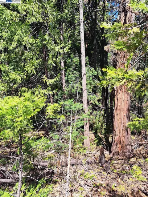 Undisclosed, Pollock Pines, CA 95726