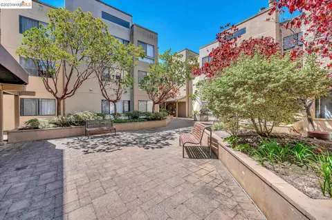 545 Pierce St #2308, Albany, CA 94706 photo 1